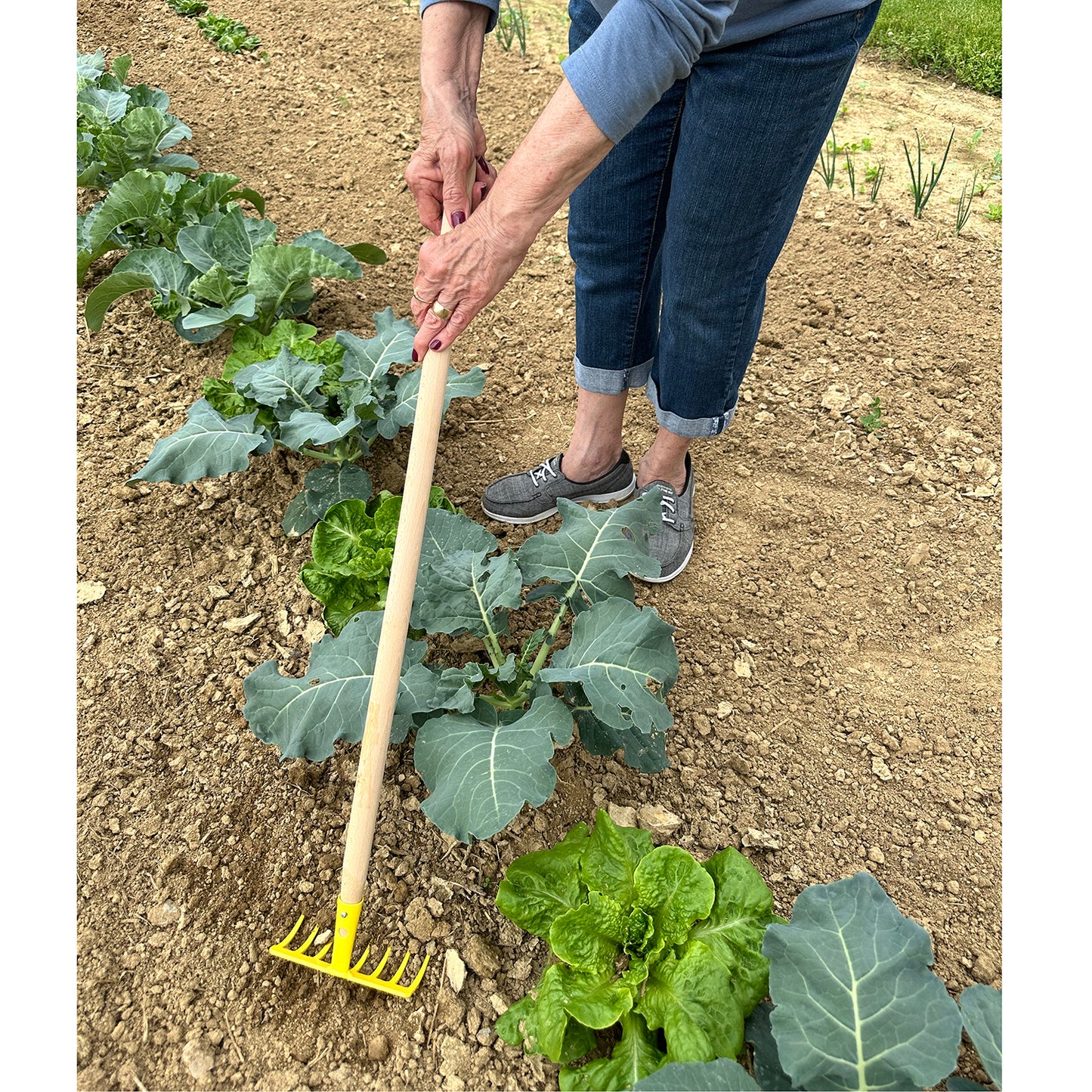 Kid's Soil Rake -Ship Only