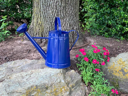 2.1 gal Blue Metal Watering Can -Ship Only