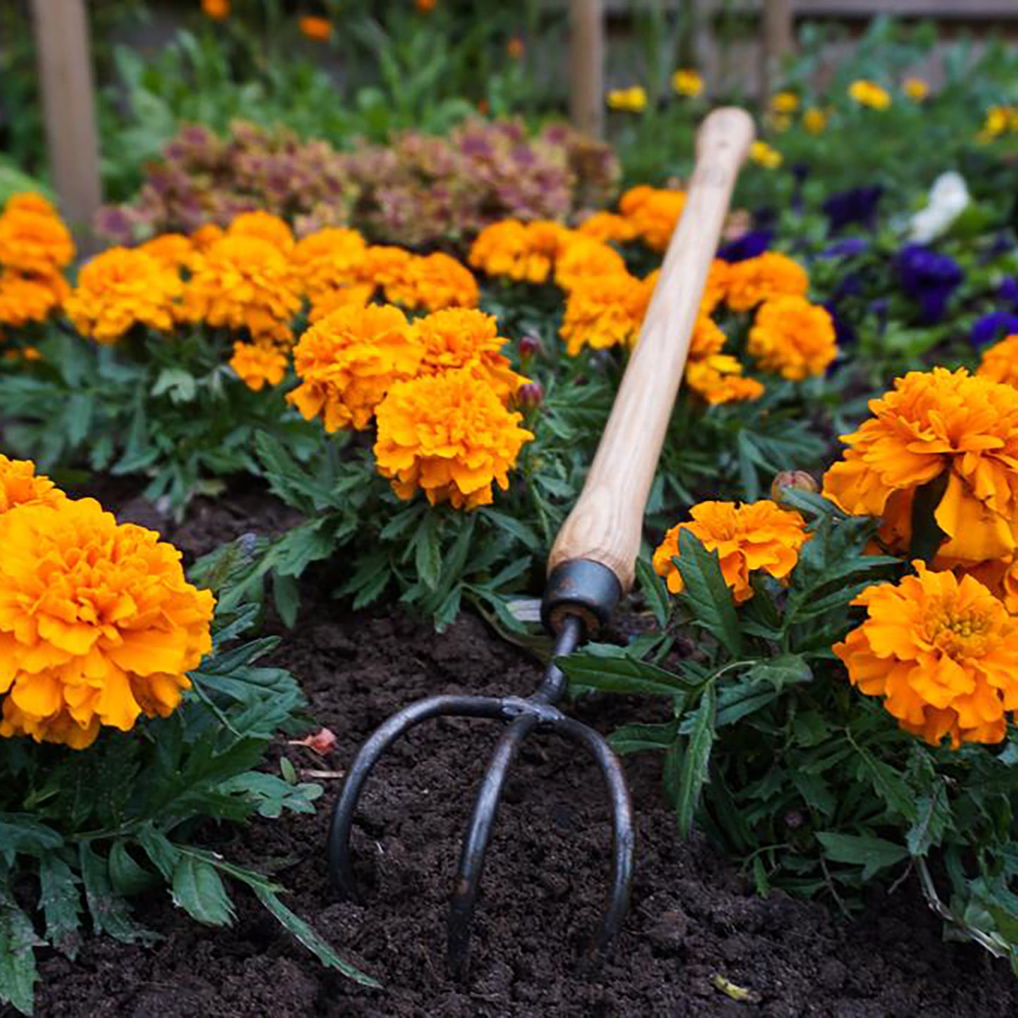 DeWit Cultivator - 3 Tine Drop Grip -Ship Only