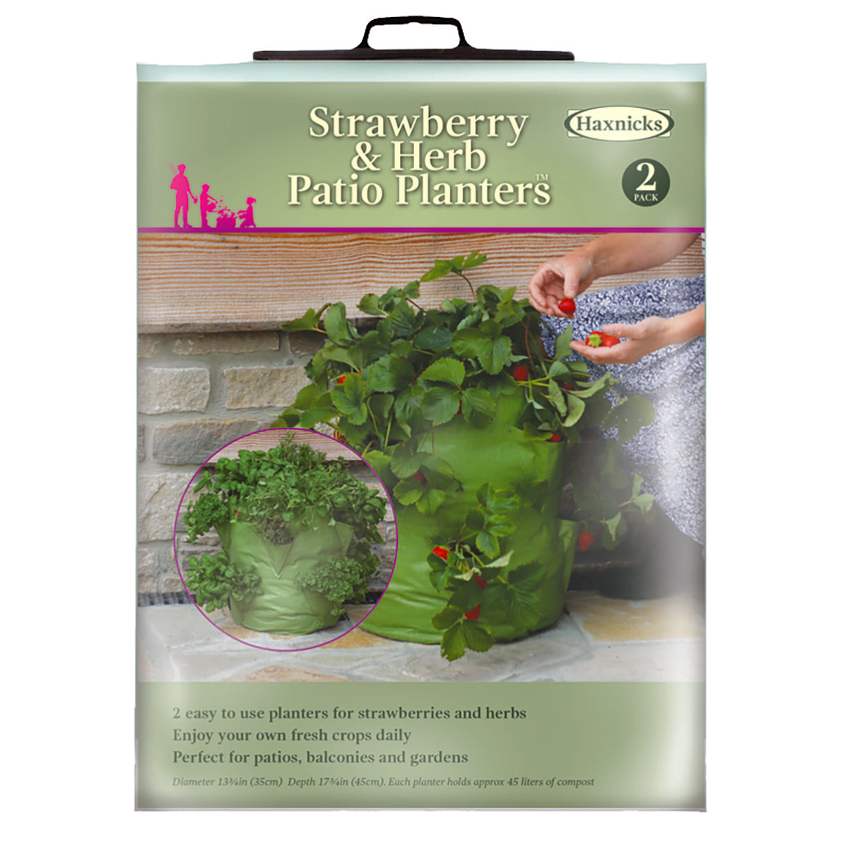 Strawberry & Herb Patio Planter 2pk -Ship Only