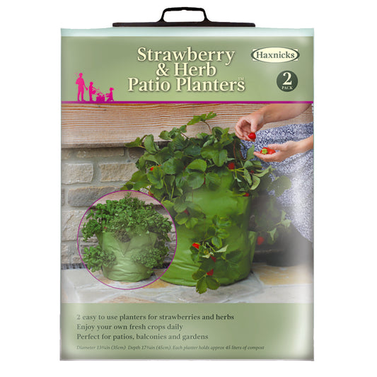 Strawberry & Herb Patio Planter 2pk -Ship Only