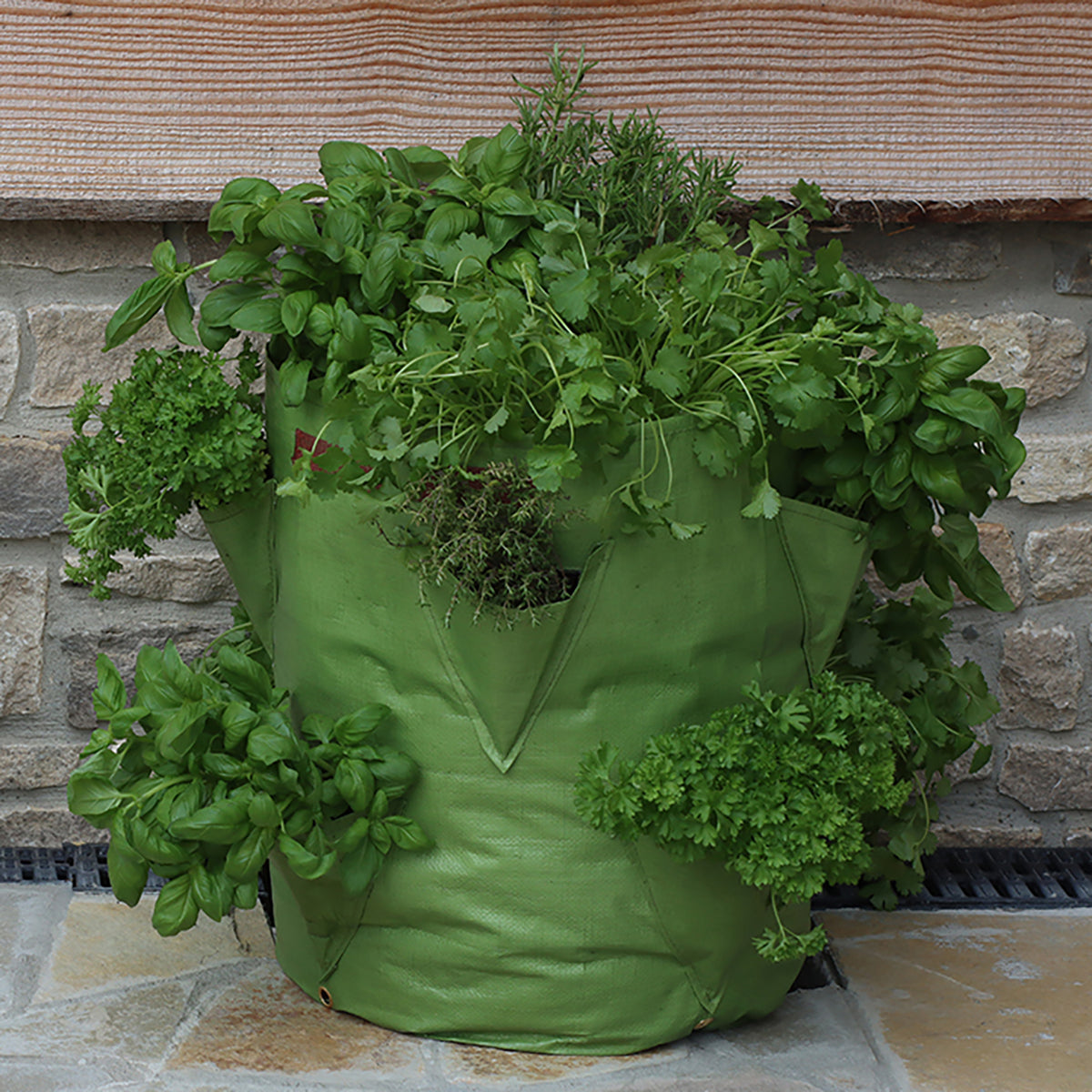 Strawberry & Herb Patio Planter 2pk -Ship Only
