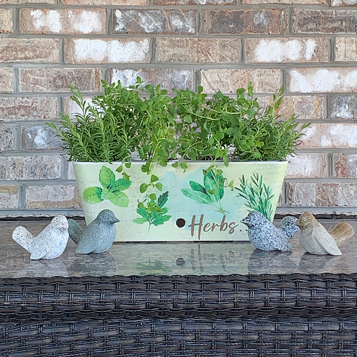 16" Herbs Rectangular Self-Watering Bamboo Planter -Ship Only