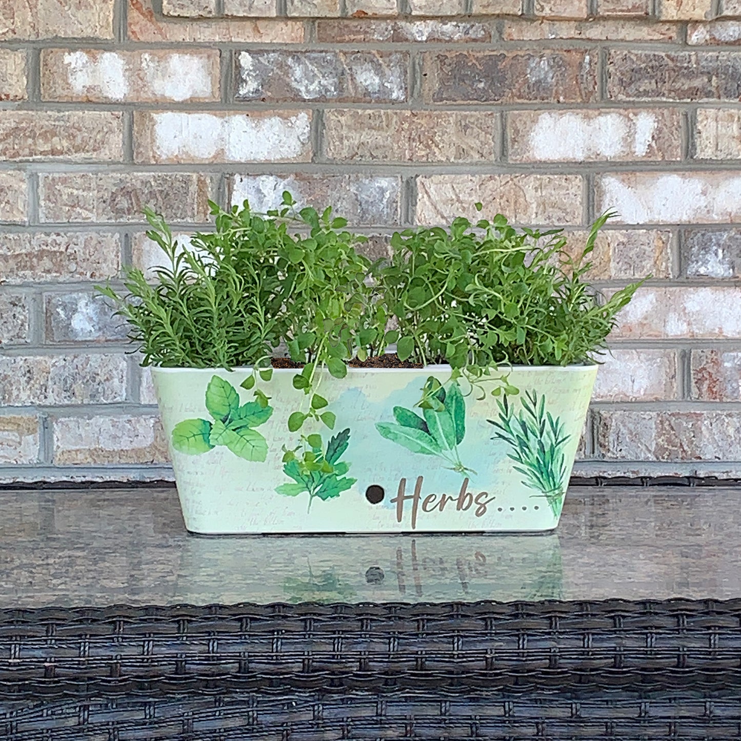 16" Herbs Rectangular Self-Watering Bamboo Planter -Ship Only