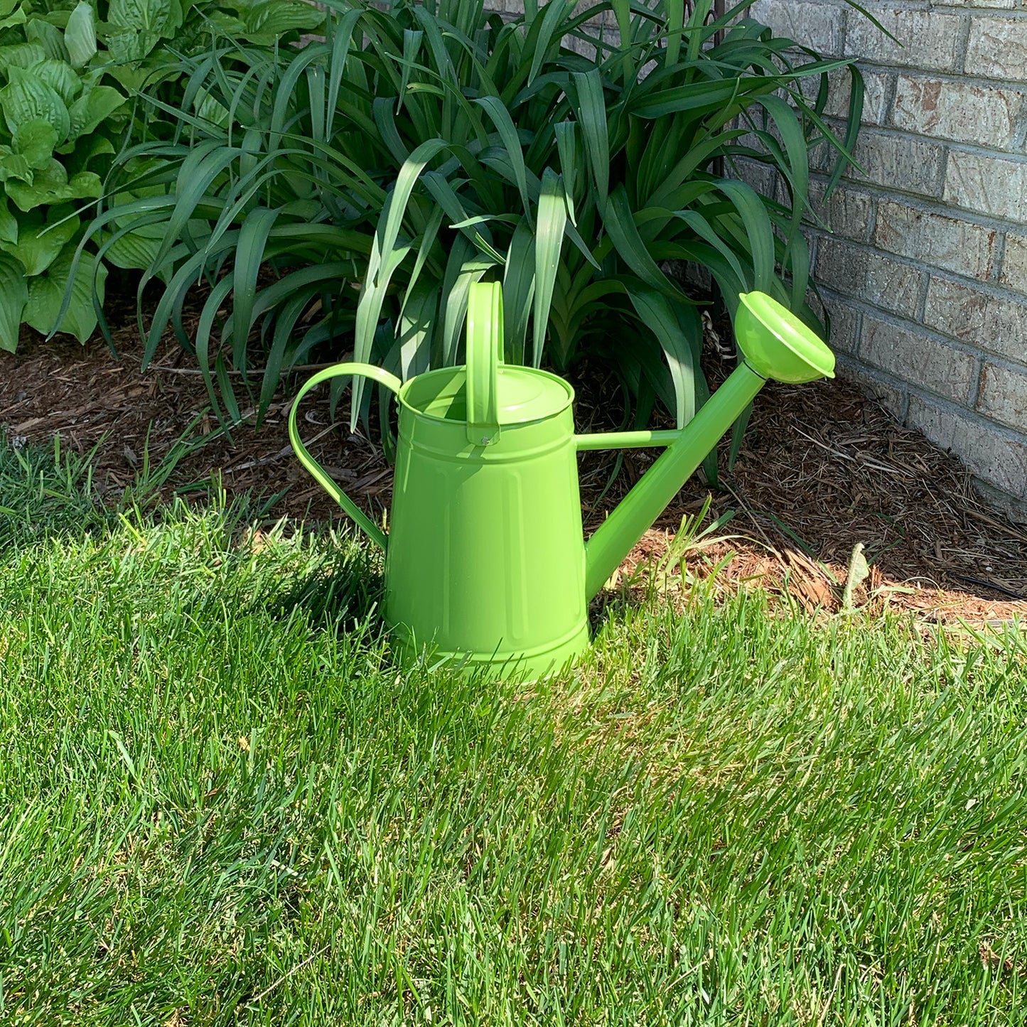 1.2 gal Green Metal Watering Can -Ship Only