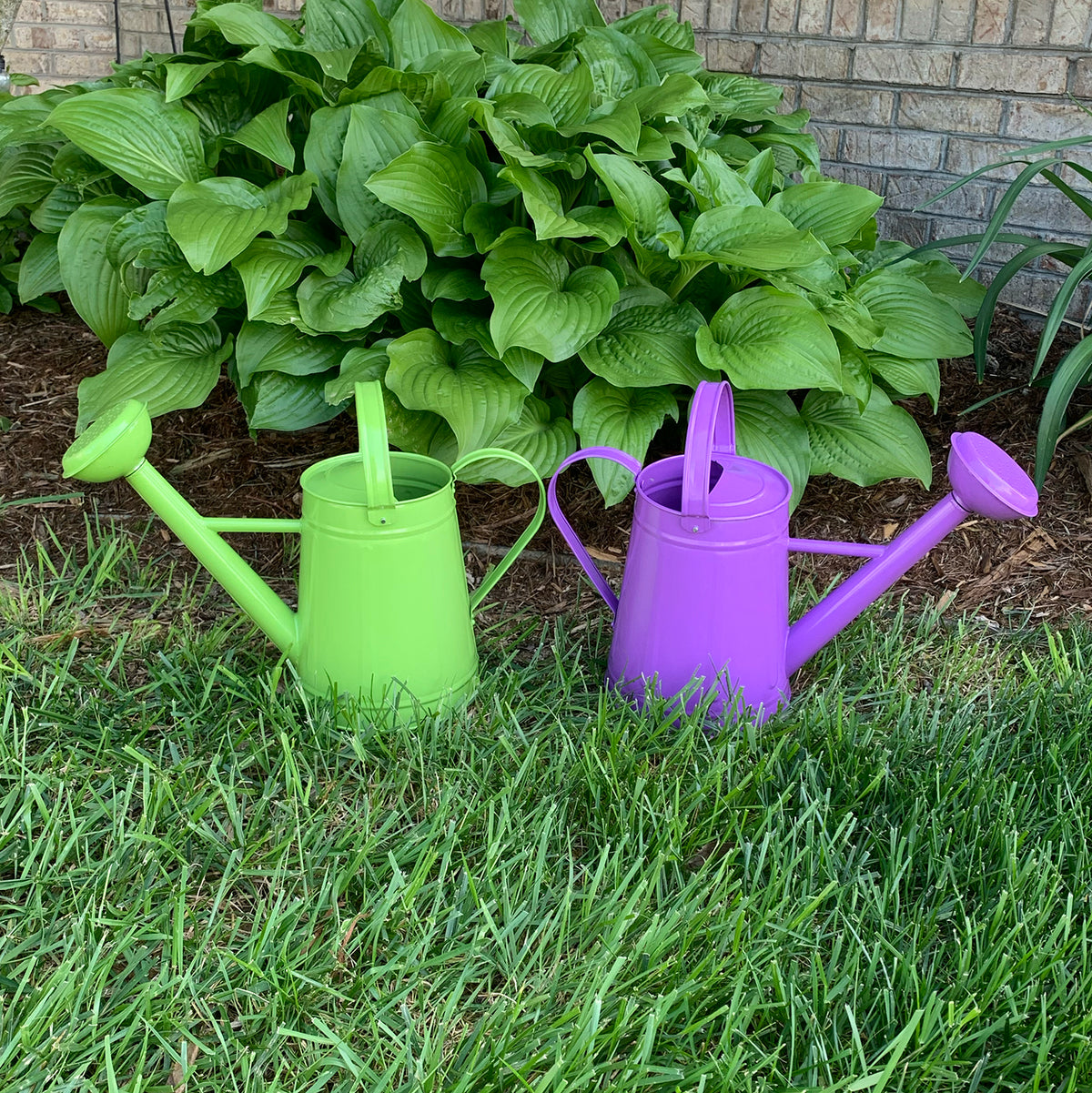 1.2 gal Violet Metal Watering Can -Ship Only