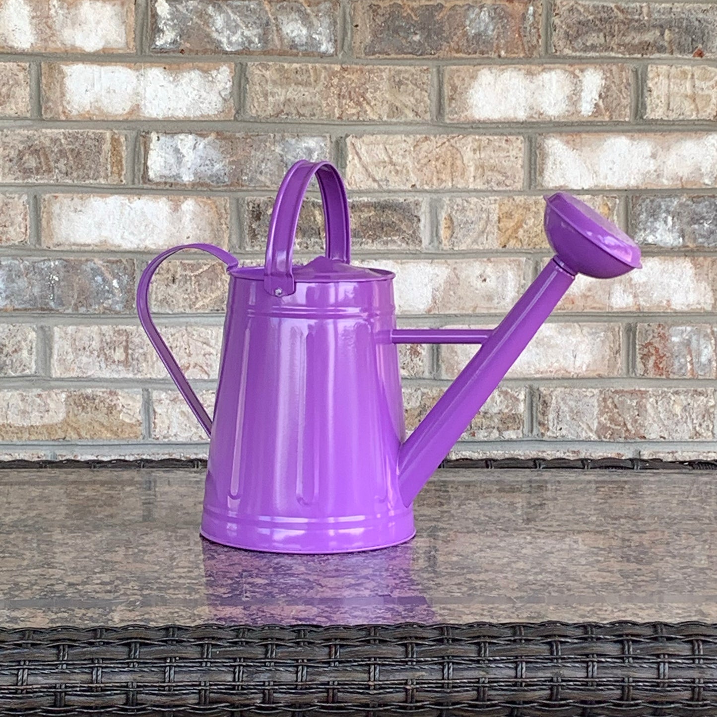 1.2 gal Violet Metal Watering Can -Ship Only