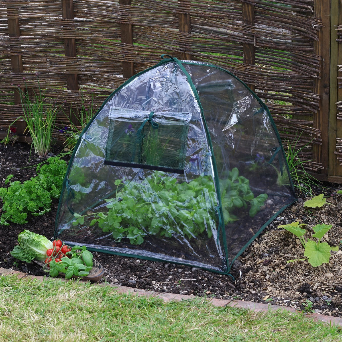 Standard Easy Poly Dome -Ship Only