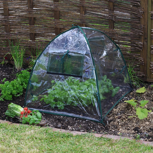 Standard Easy Poly Dome -Ship Only