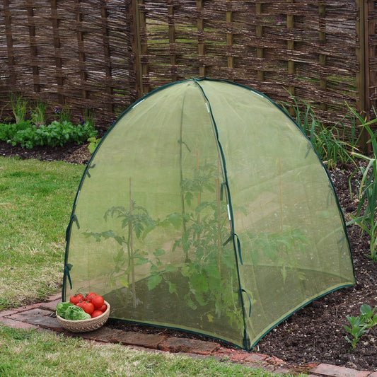 Giant Easy Micromesh Dome -Ship Only