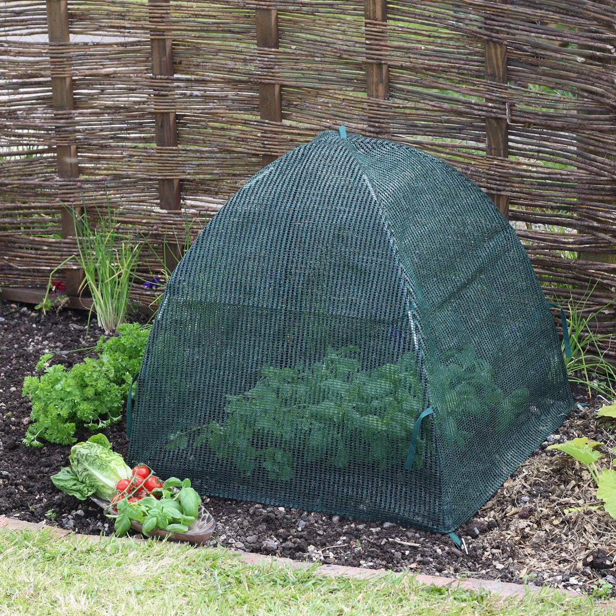 Standard Easy Net Dome -Ship Only