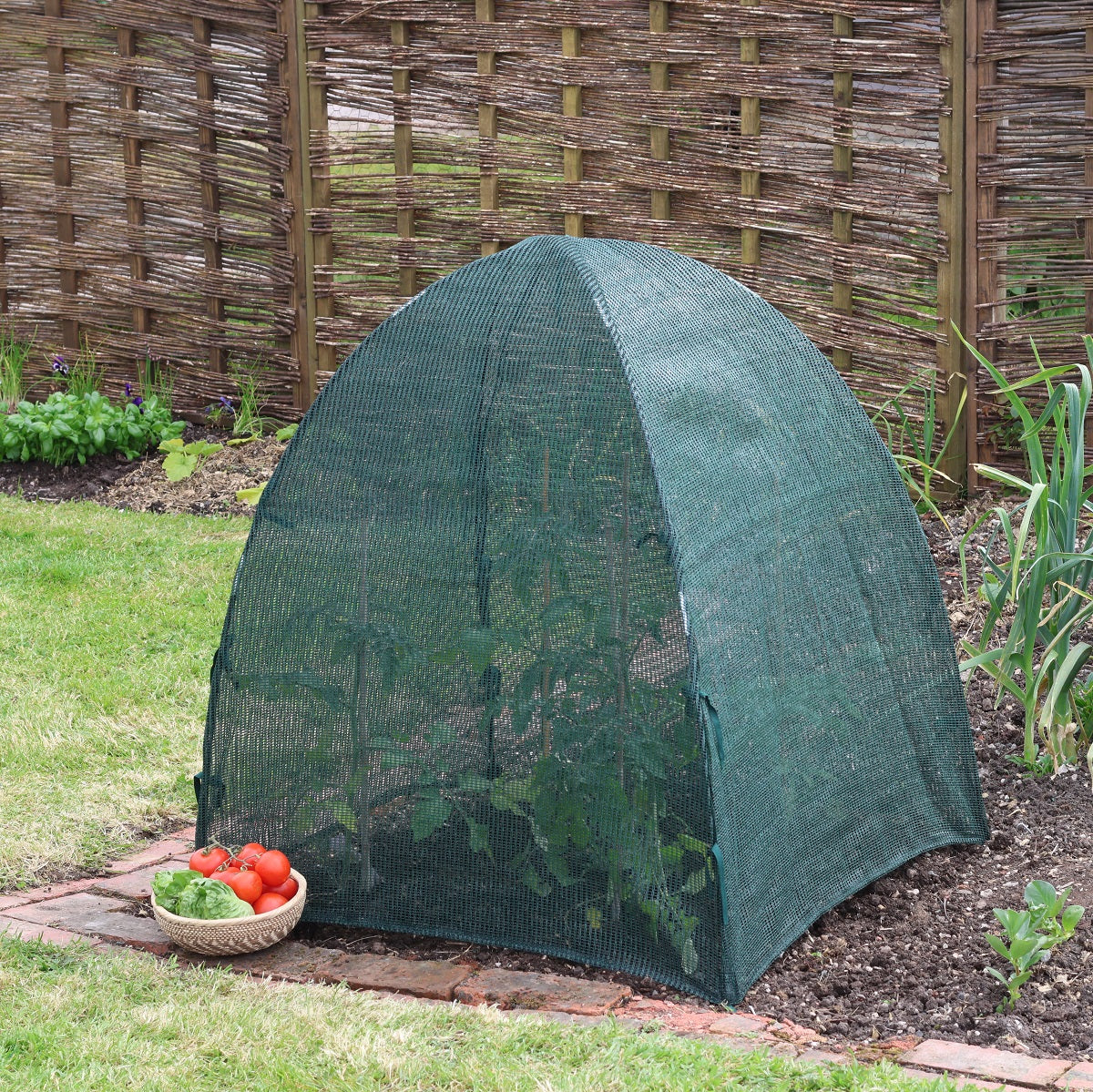 Giant Easy Net Dome -Ship Only