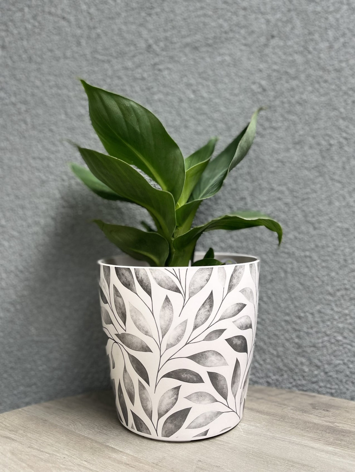 7" Gray Leaves Round Self-Watering Bamboo Pot -Ship Only