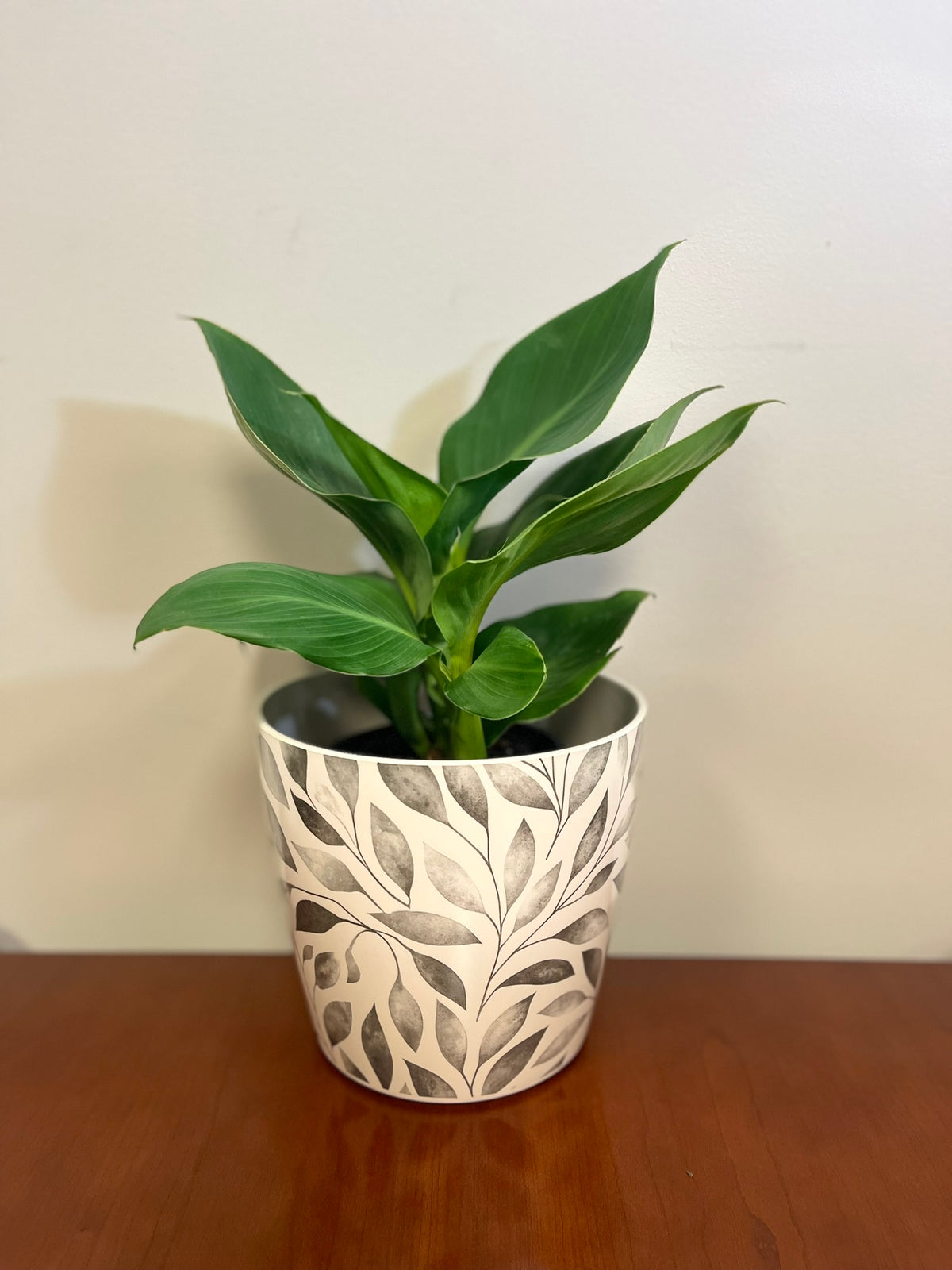 7" Gray Leaves Round Self-Watering Bamboo Pot -Ship Only