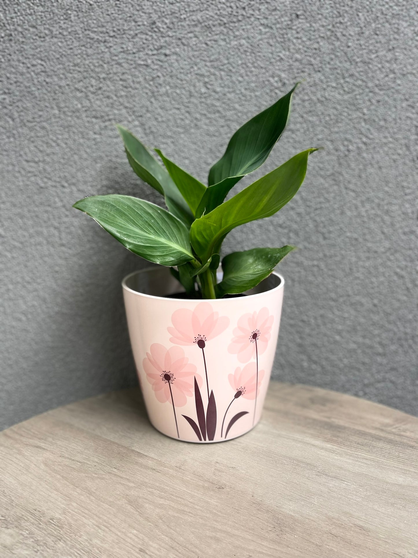 7" Pink Flower Round Self-Watering Bamboo Pot -Ship Only
