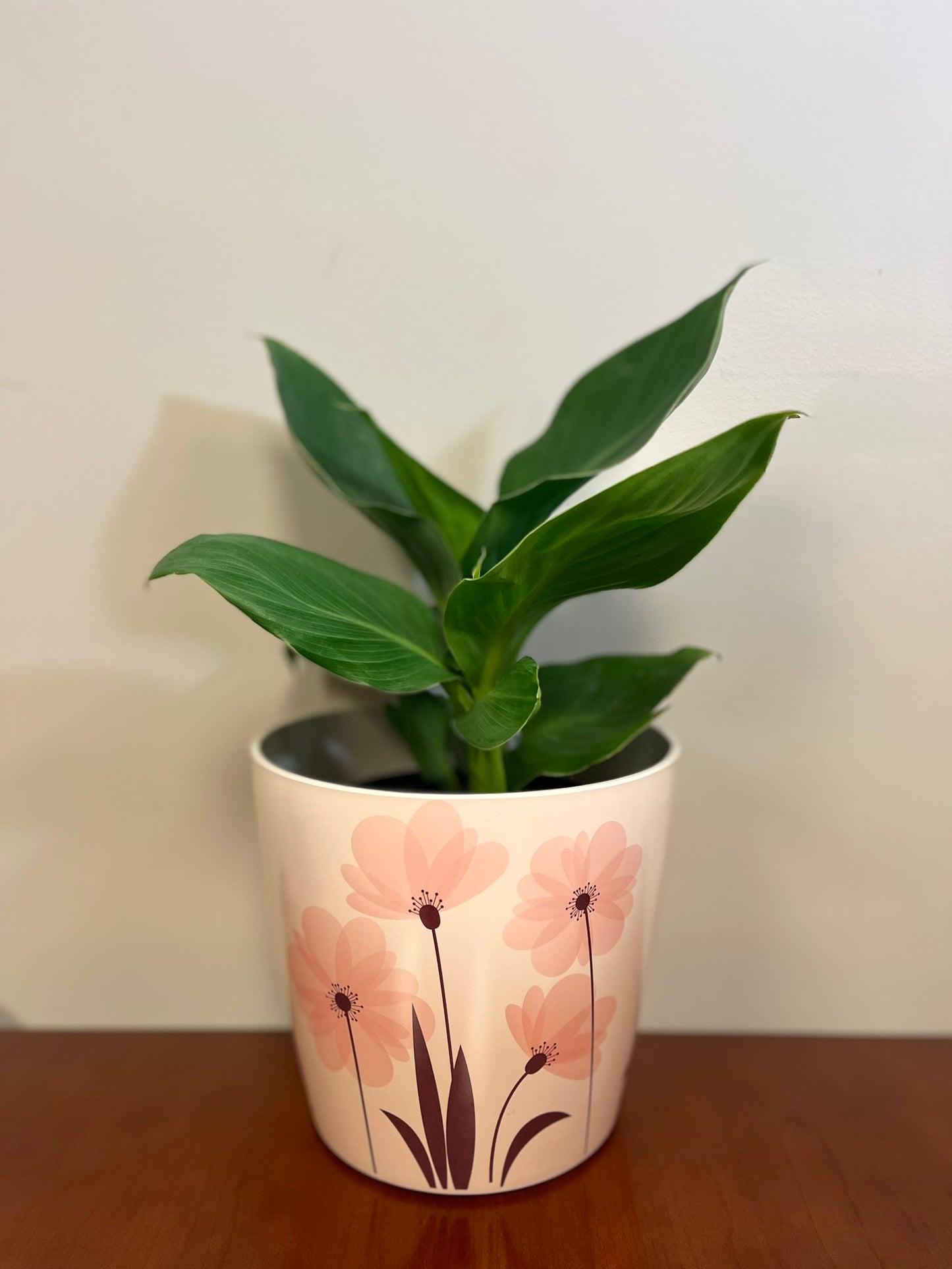 7" Pink Flower Round Self-Watering Bamboo Pot -Ship Only