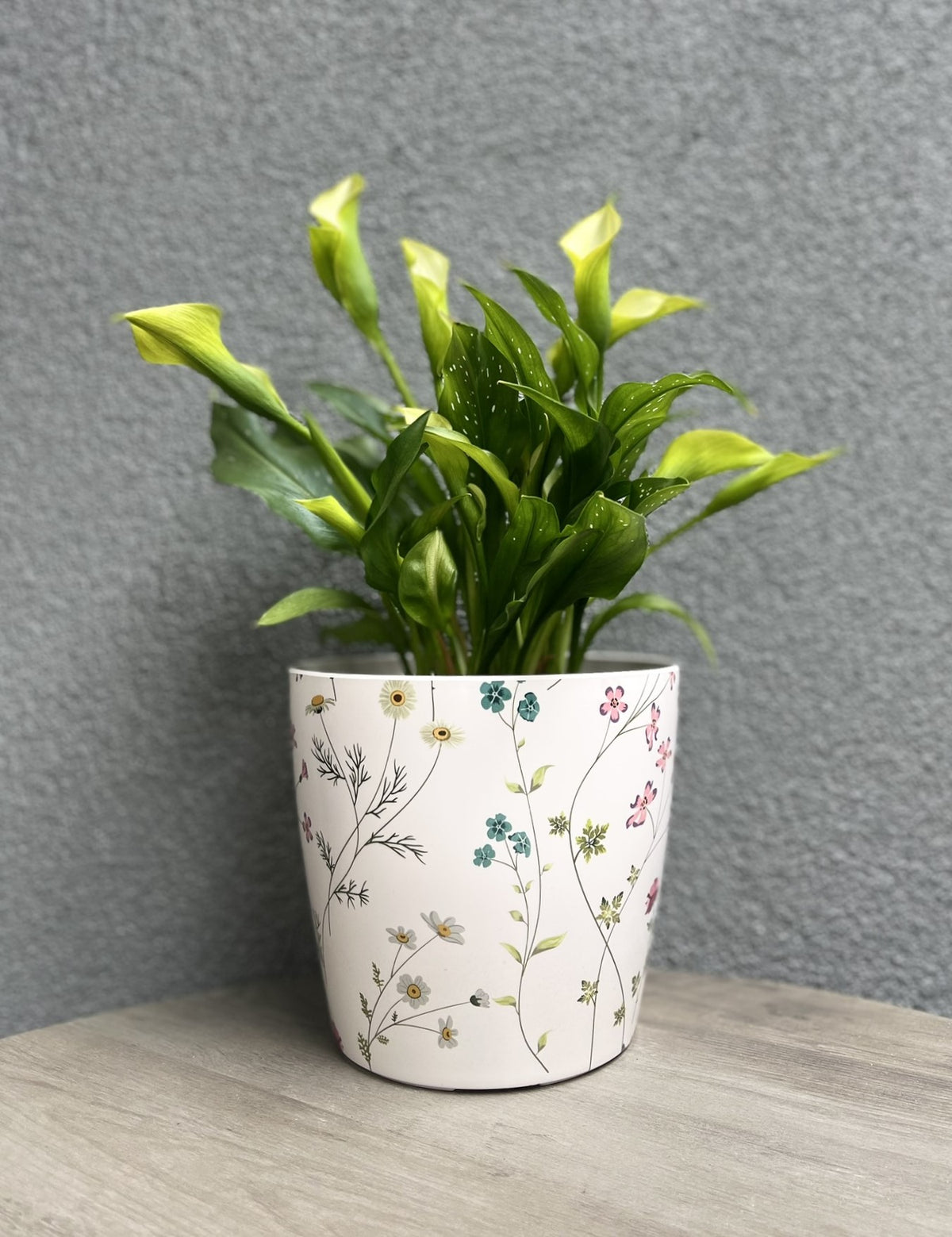 7" Wildflower Round Self-Watering Bamboo Pot -Ship Only
