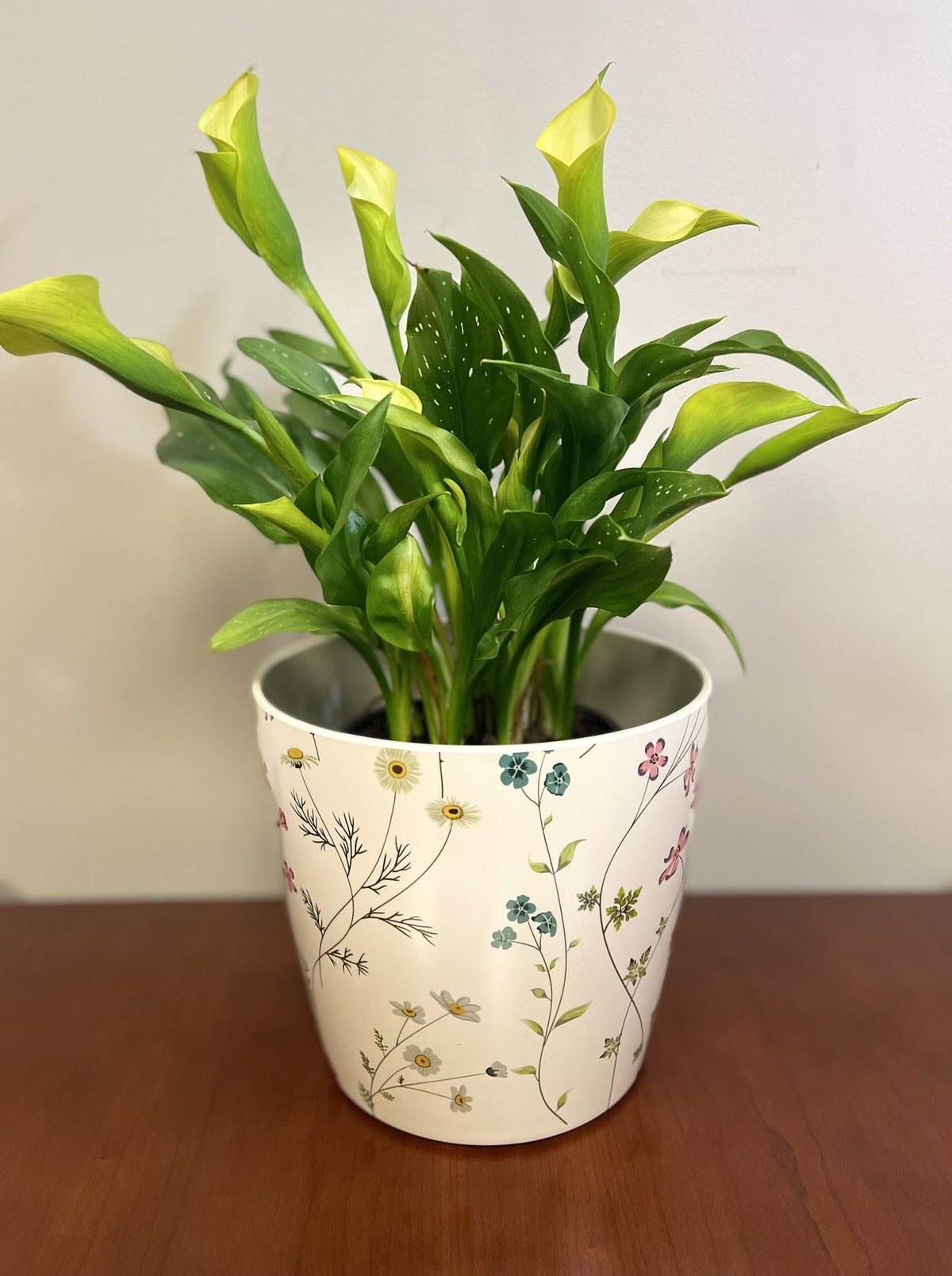 7" Wildflower Round Self-Watering Bamboo Pot -Ship Only
