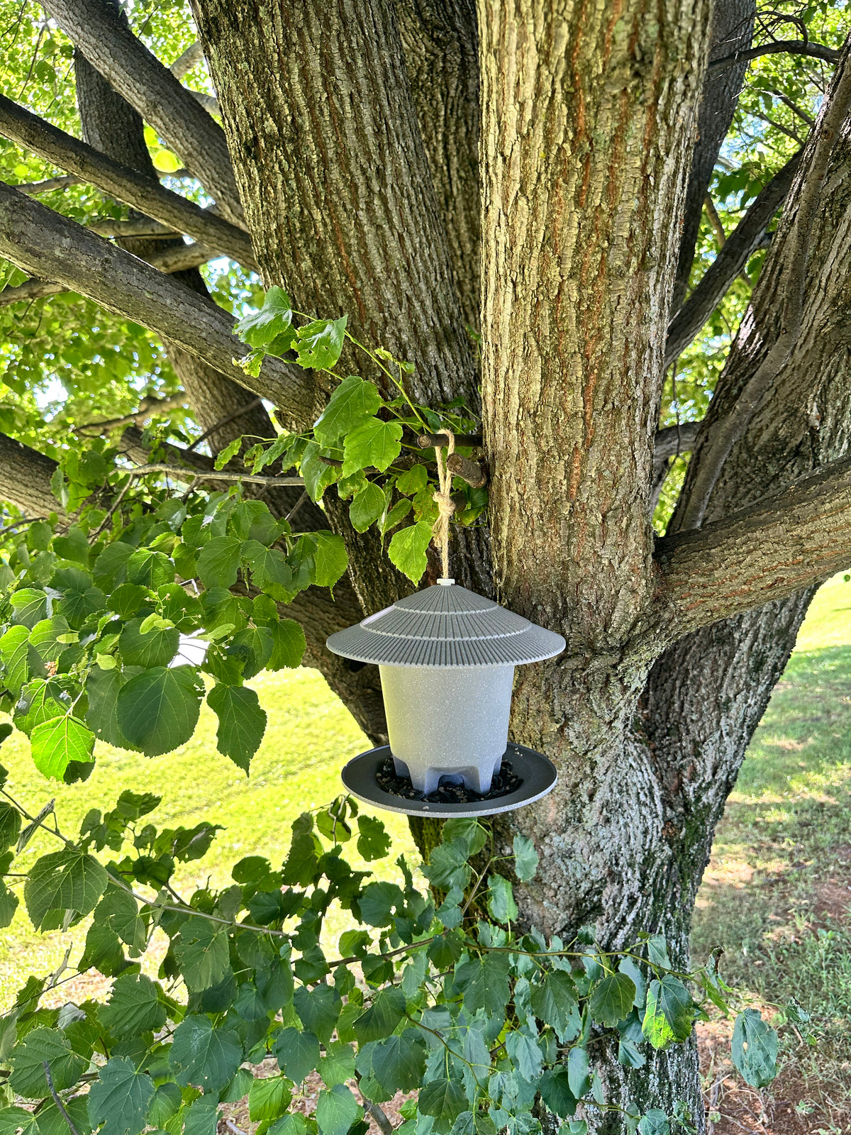 Deluxe Round Bird Feeder - Straw -Ship Only