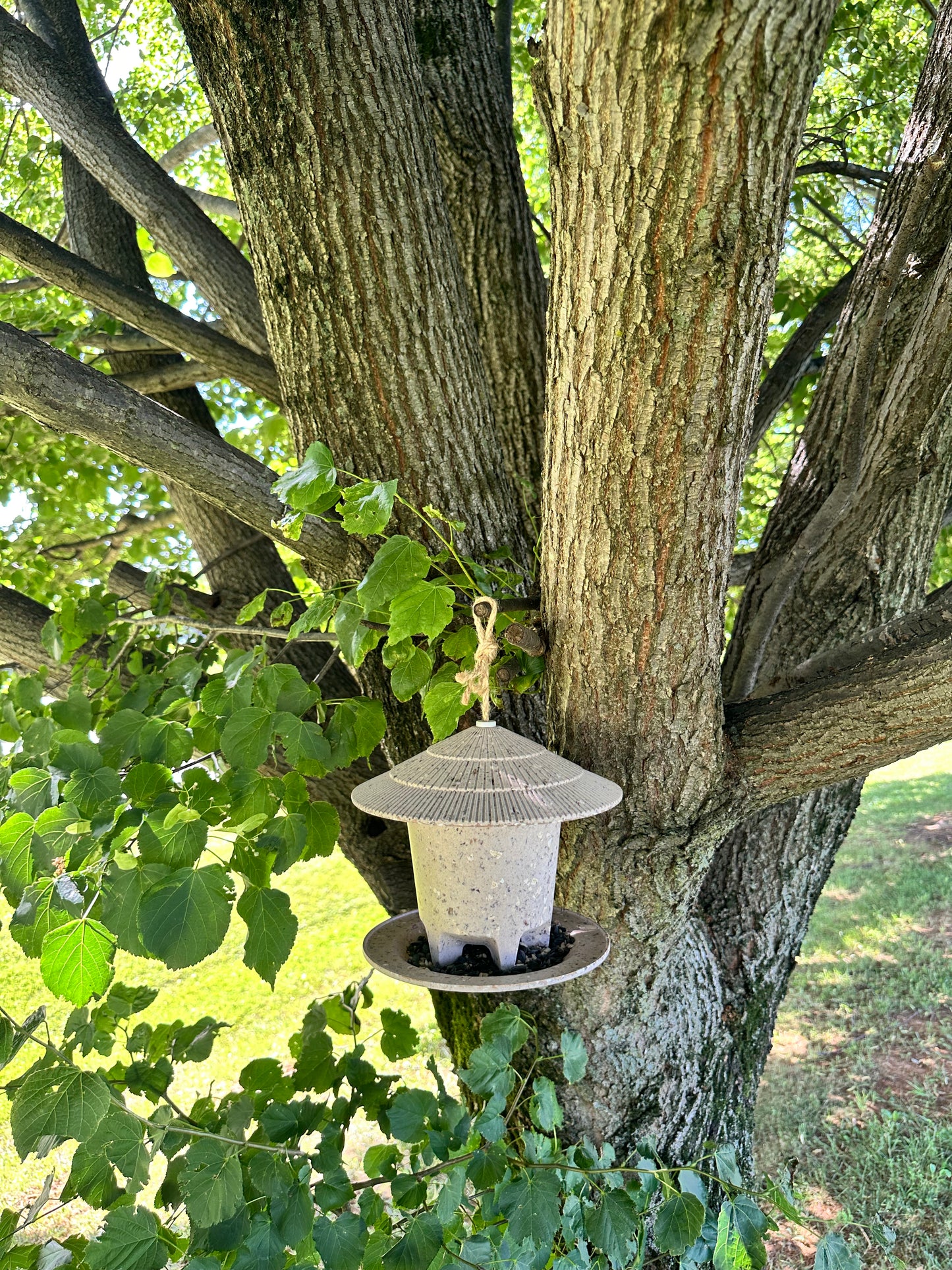 Deluxe Round Bird Feeder - Coffee Husks -Ship Only