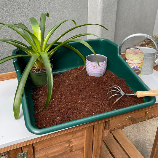 Green Tidy Tray -Ship Only