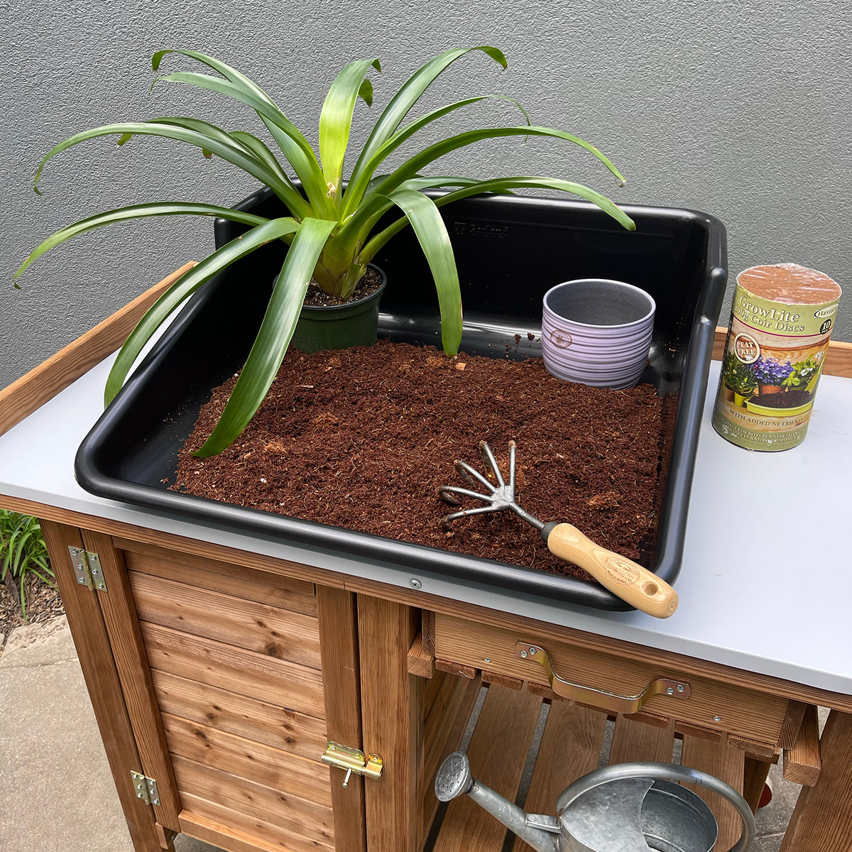 Black Tidy Tray -Ship Only