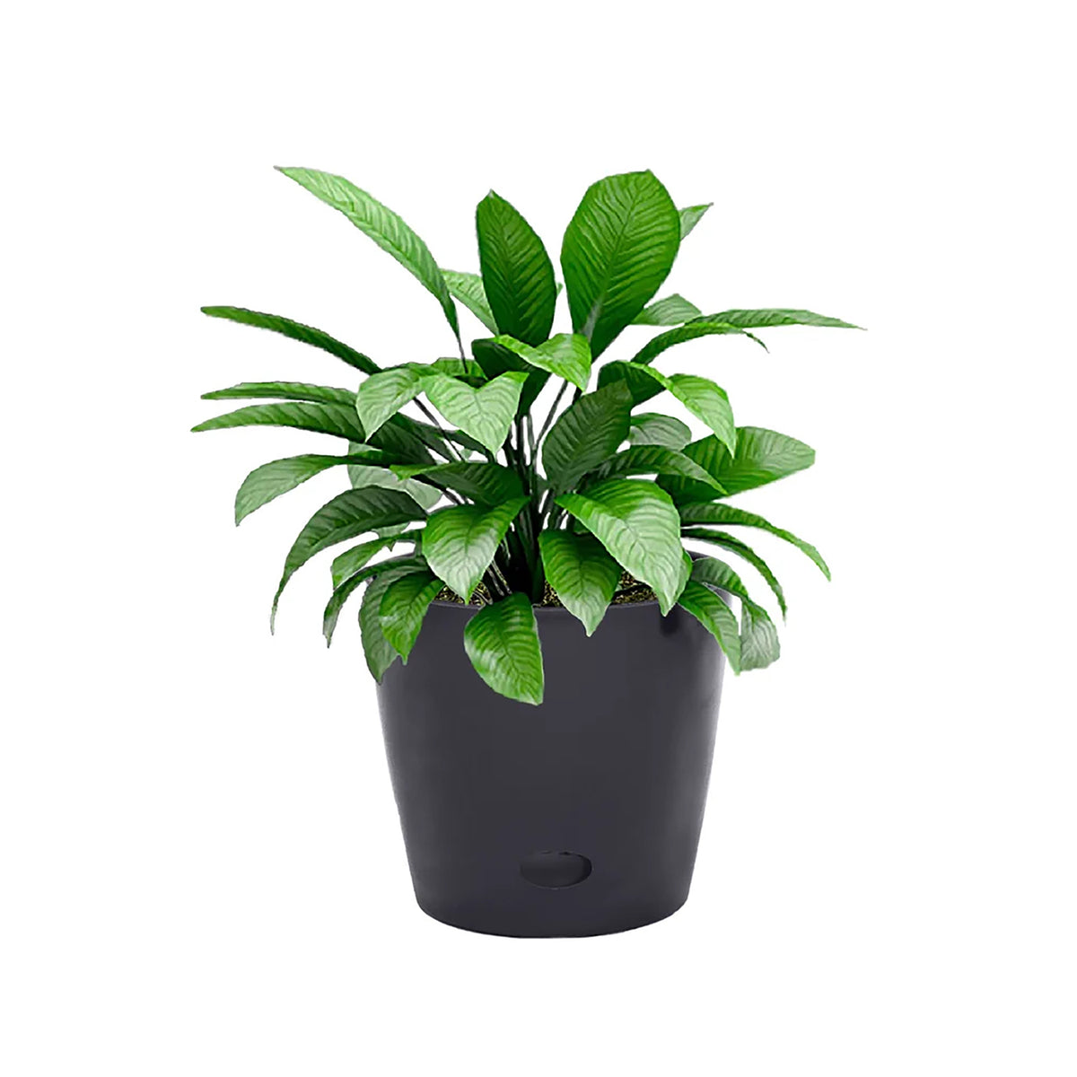 5" Black Round Self-Watering Bamboo Pot -Ship Only