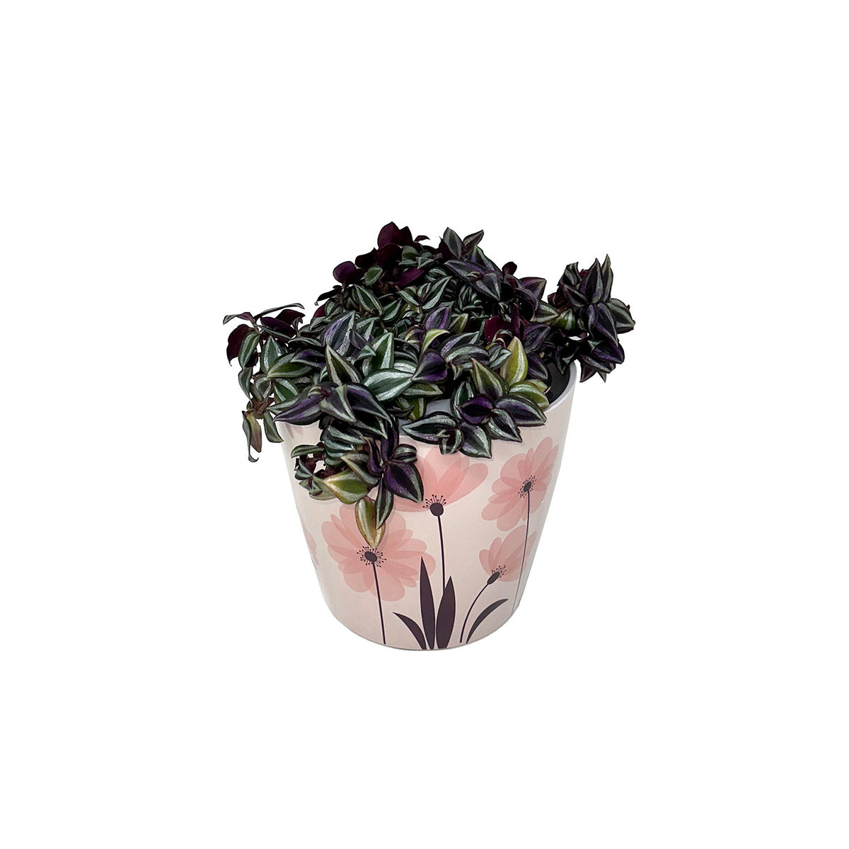 5" Pink FlowerRound Self-Watering Bamboo Pot -Ship Only