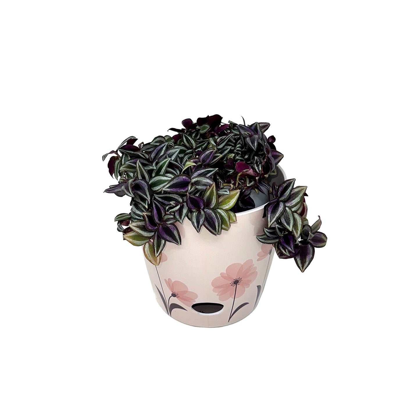 5" Pink FlowerRound Self-Watering Bamboo Pot -Ship Only