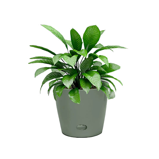 5" Sage Green Round Self-Watering Bamboo Pot -Ship Only