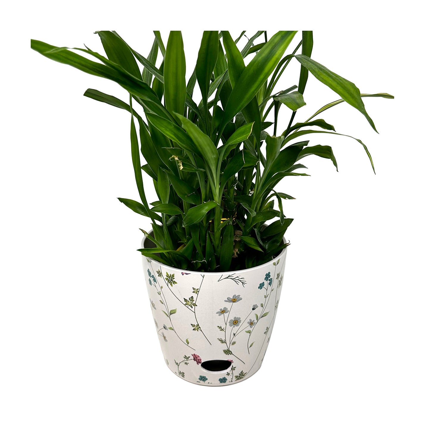 5" Wildflower Round Self-Watering Bamboo Pot -Ship Only