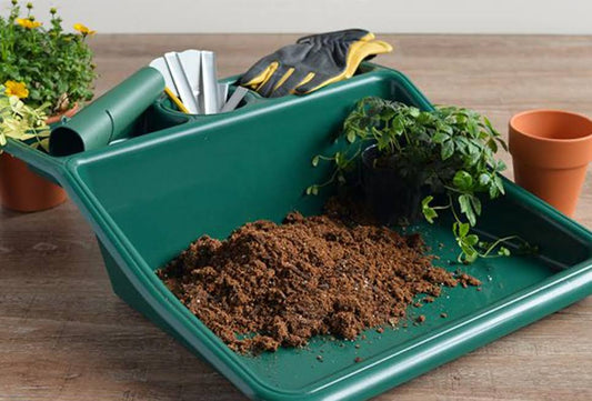 Compact Tidy Tray Green with Shelf -Ship Only