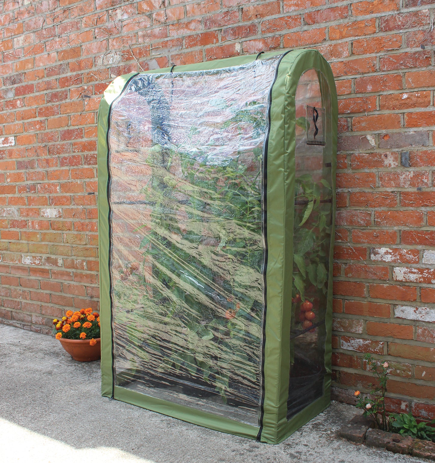 Tomato Crop Booster with Cover -Ship Only