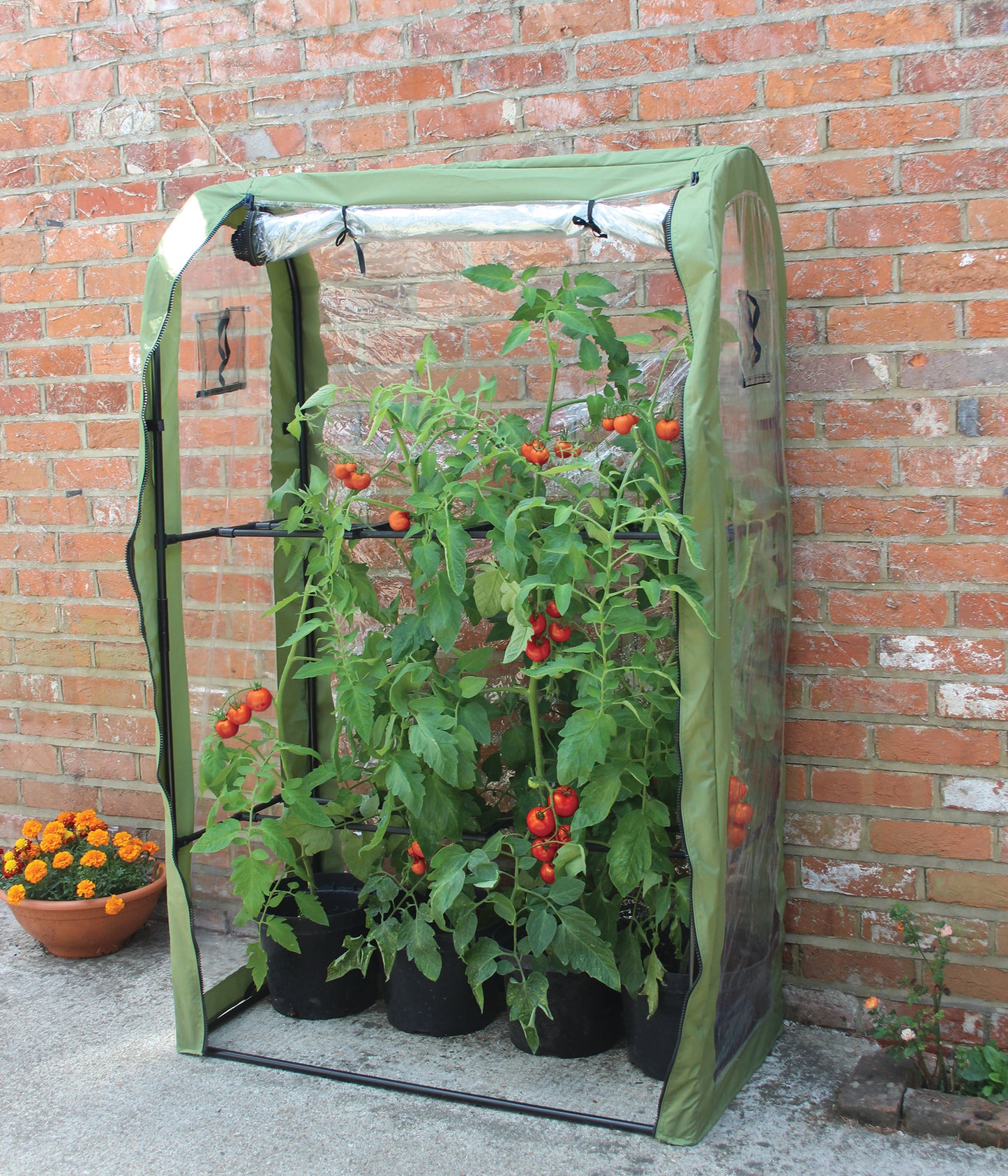 Tomato Crop Booster with Cover -Ship Only