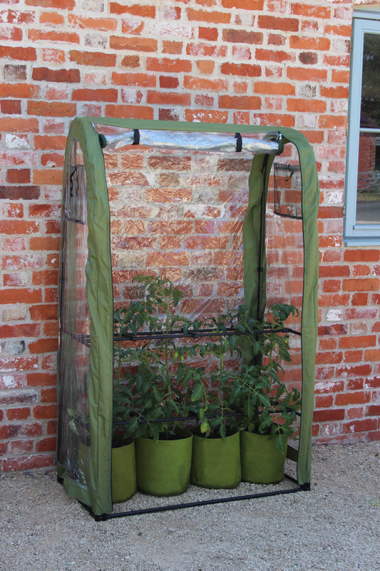 Tomato Crop Booster with Cover -Ship Only