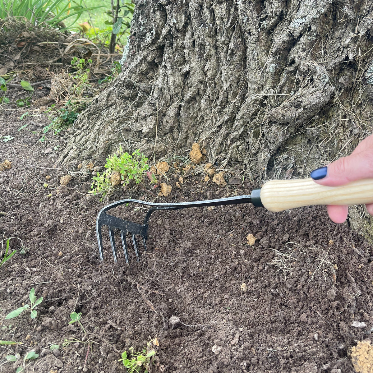DeWit Cultivator - Bio Rake -Ship Only