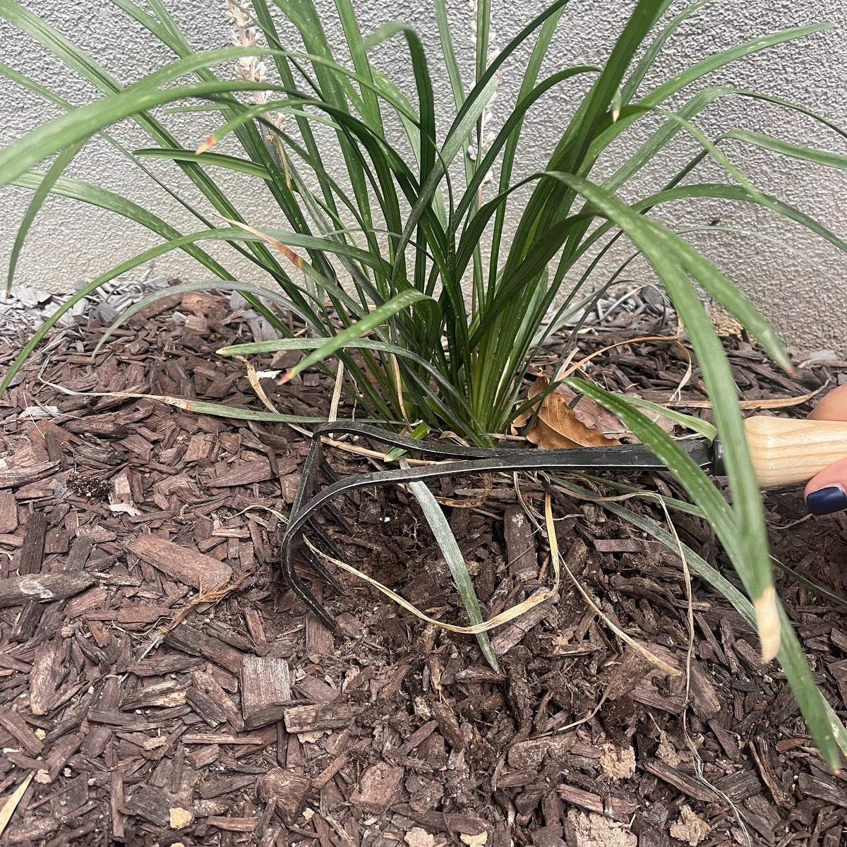 DeWit Cultivator - Bio Rake -Ship Only