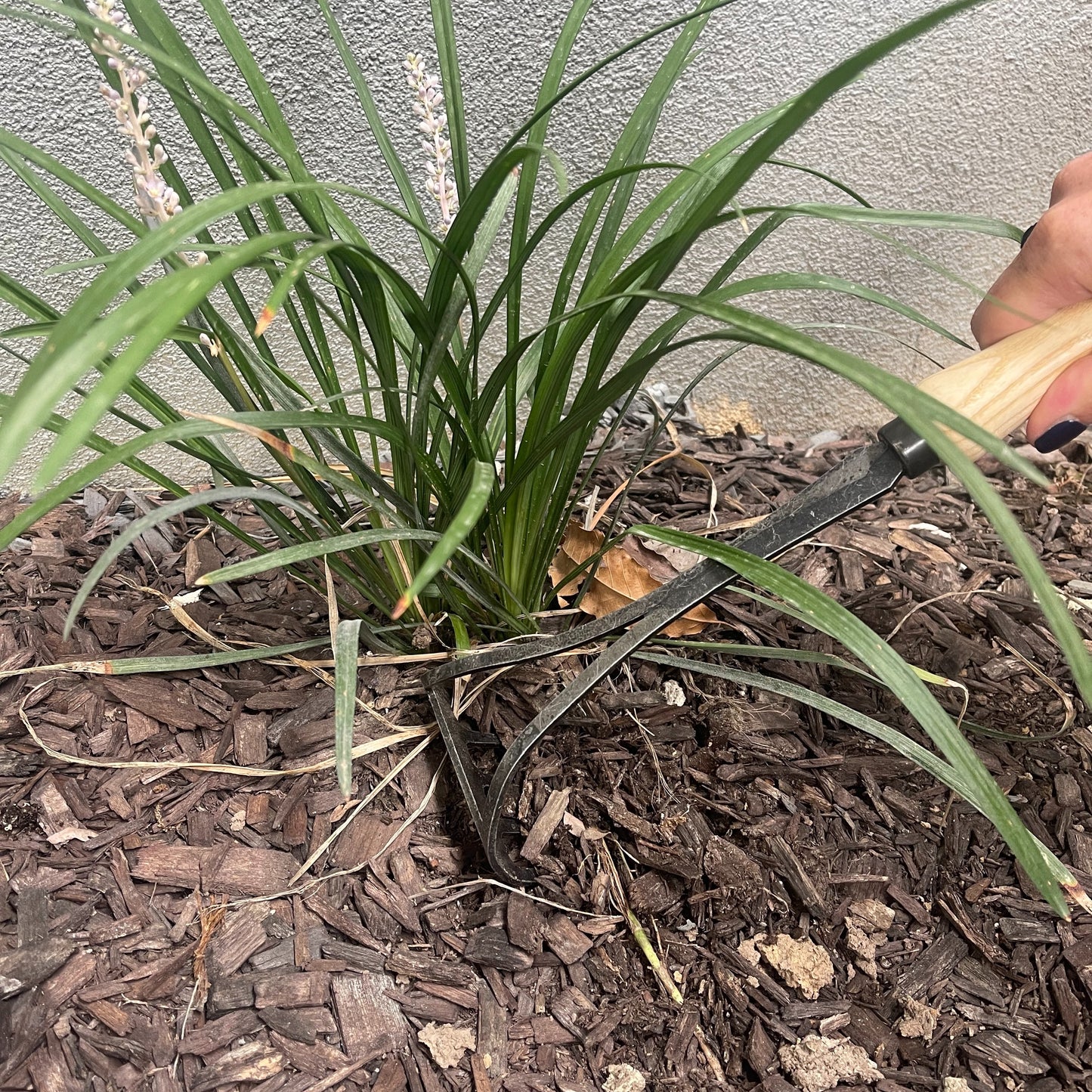 DeWit Cultivator - Bio Rake -Ship Only