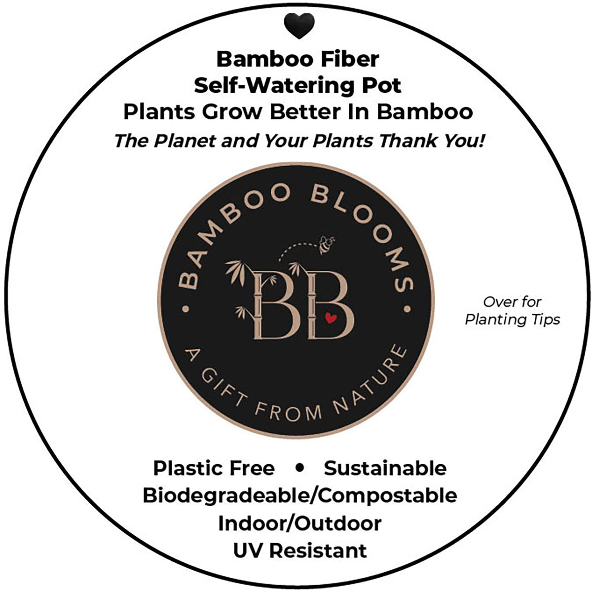 10" Sage Round Self-Watering Bamboo Pot -Ship Only