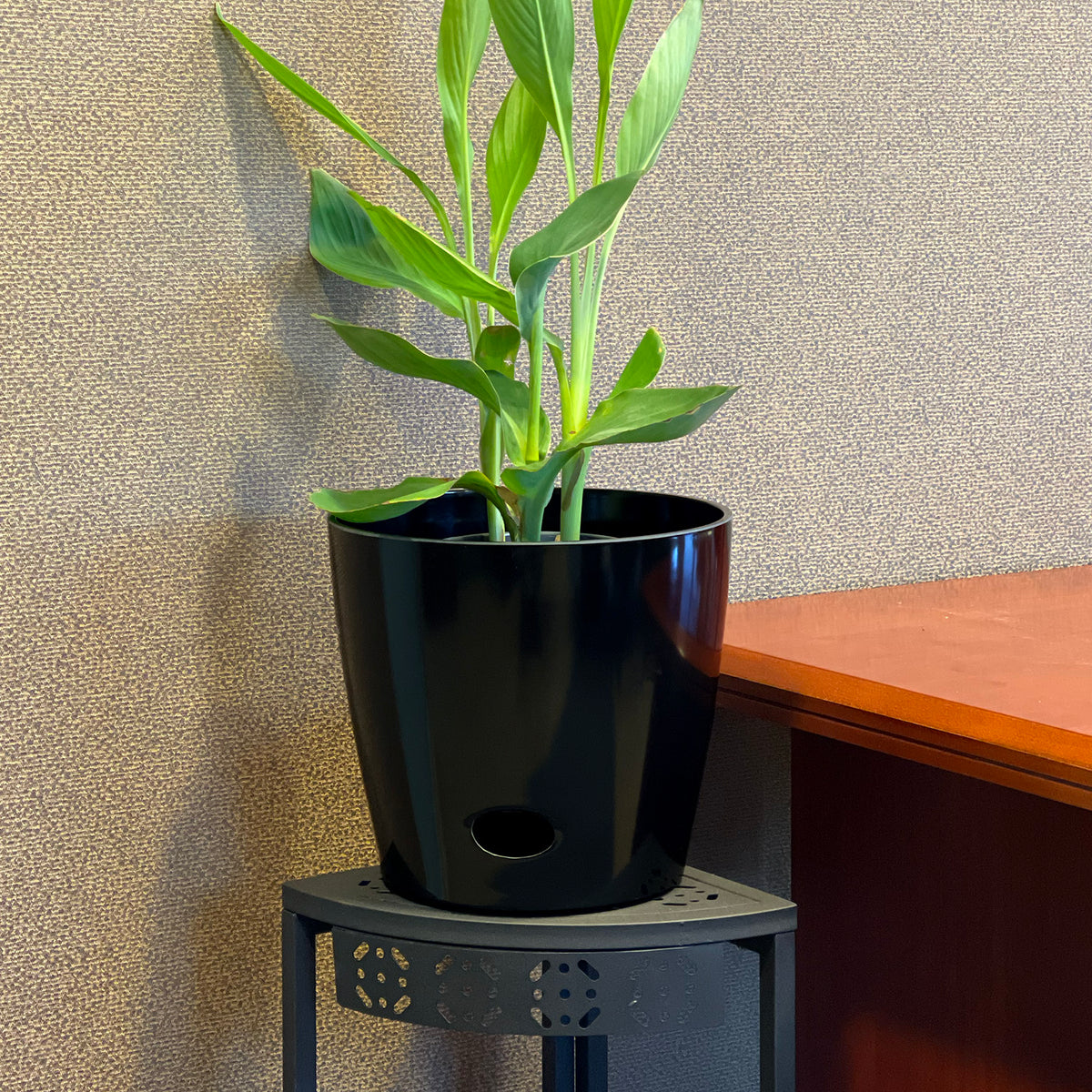 10" Black Round Self-Watering Bamboo Pot -Ship Only