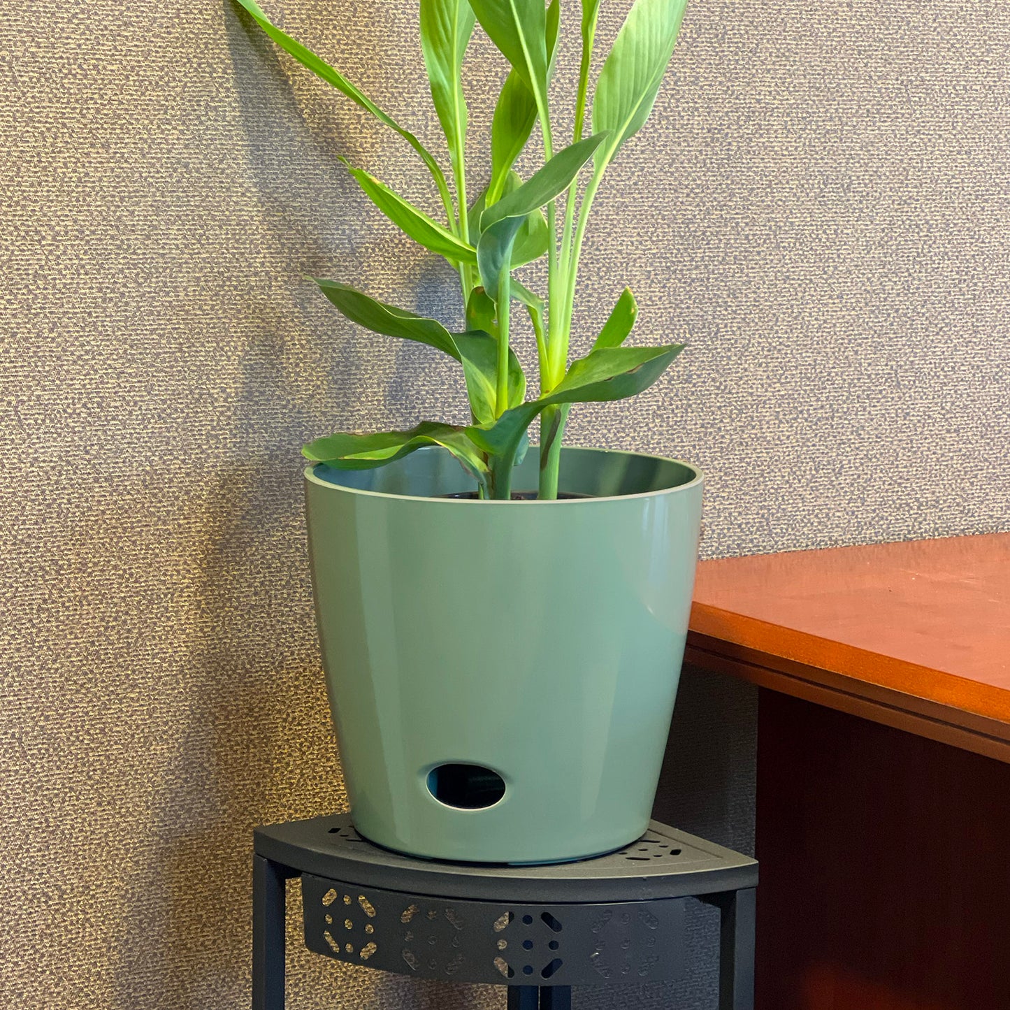 10" Sage Round Self-Watering Bamboo Pot -Ship Only