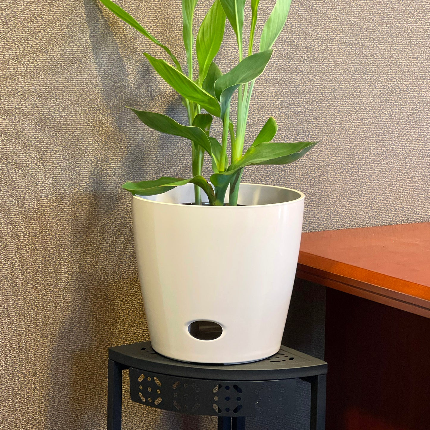 10" Cream Round Self-Watering Bamboo Pot -Ship Only