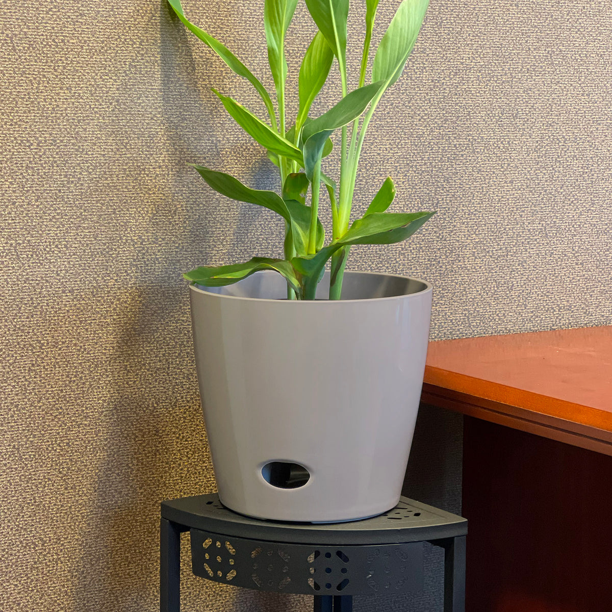10" Gray Round Self-Watering Bamboo Pot -Ship Only