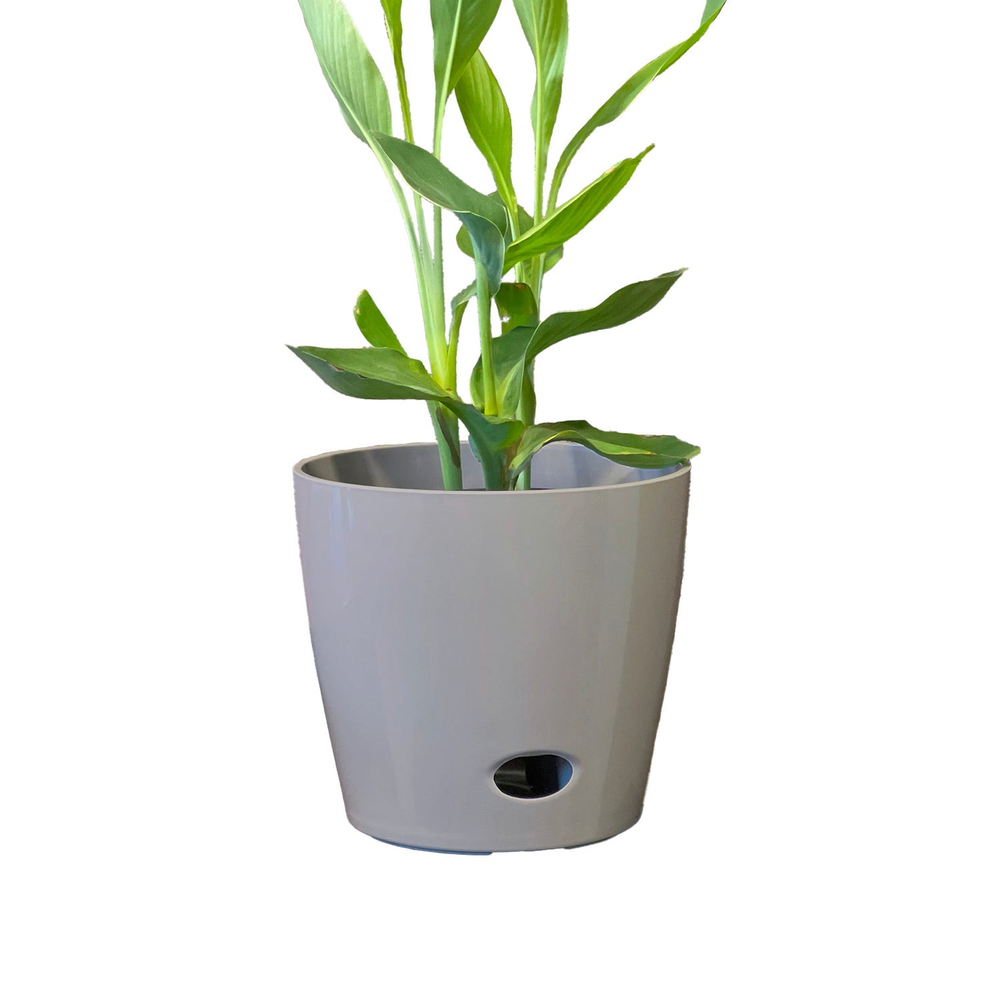 10" Gray Round Self-Watering Bamboo Pot -Ship Only