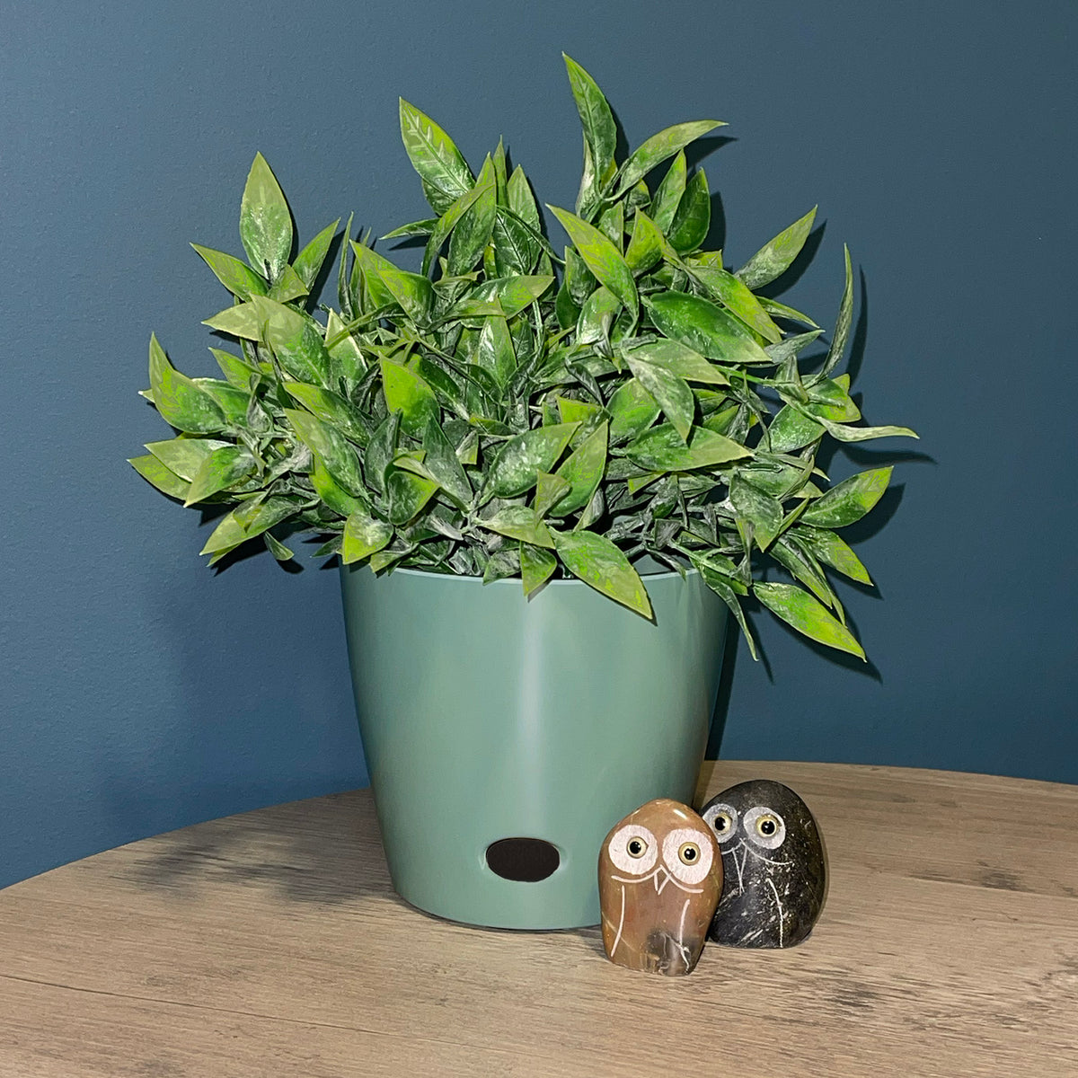 5" Sage Green Round Self-Watering Bamboo Pot -Ship Only
