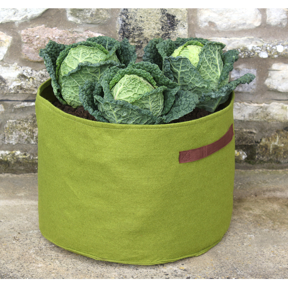 Vigoroot Vegetable Planter -Ship Only
