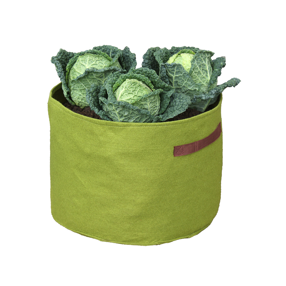 Vigoroot Vegetable Planter -Ship Only