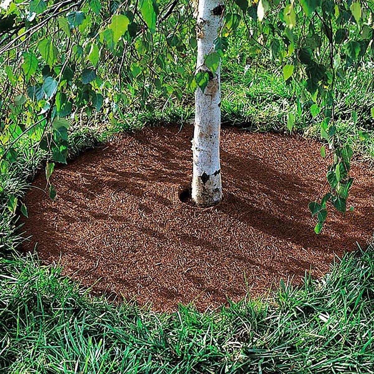 20" Round Coco Tree Mat 3pk -Ship Only