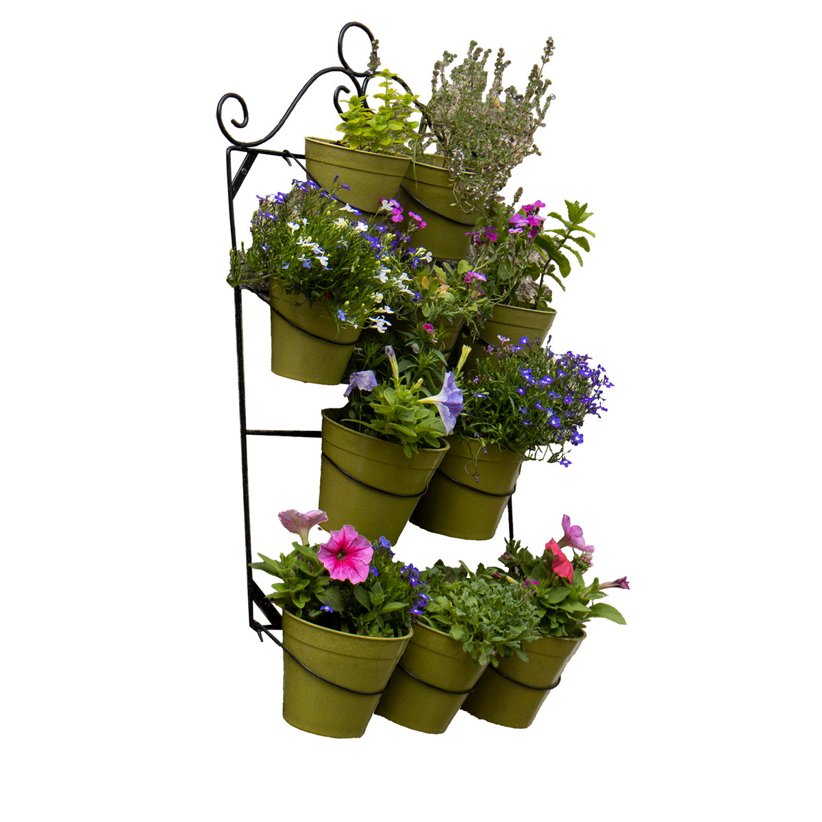 Wall Plant Holder -Ship Only