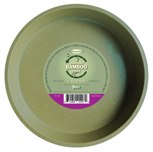 8" Green Bamboo Saucer Single -Ship Only